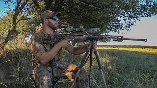 Kansas Coyote Slayer