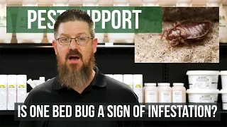 Is One Bed Bug the Sign of an Infestation? | Pest Support