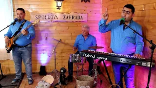 Hudobná skupina DAVID BAND - Sedem červených ruží