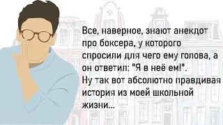 🏠Сборник Весёлых Жизненных Историй,Для Хорошего Настроения!