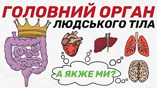 Який ОРГАН НАЙВАЖЛИВІШИЙ у нашому тілі та як впливає на ЗДОРОВ'Я? "Внутрішня історія" Джулія Ендерс