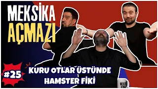 Kuru Otlar Üstünde Bir Hamster | Meksika Açmazı #25