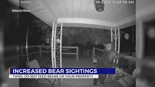 Bear sightings increase in Northeast Tennessee