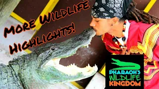 🐊⚠️WILDLIFE SHOWS! PHARAOH GAYLES HANALING ALLIGATORS & WILDLIFE!! #6 🐍🐊