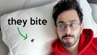 I got attacked by bed bugs in Paris