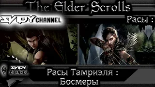 The Elder Scrolls|Расы Тамриэля: Босмеры(Лор)