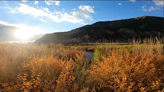 RIVER FULL OF MONSTER TROUT fall fly fishing in Colorado (PART 1)