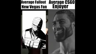Average Fallout New Vegas Fan