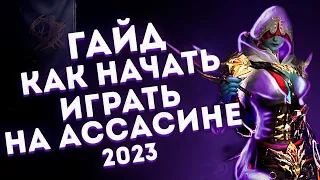 ГАЙД на АССАСИНА - СПУСТЯ 2 МЕСЯЦА ИГРЫ в 2023 году в Lineage 2 Essence