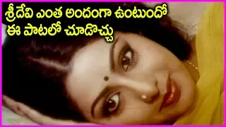 Actress Sridevi And Krishnam Raju Lovely Video Song In Telugu | Rose Telugu Movies