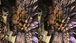 Flying in the Fractal World. (3D, side by side, left-right)