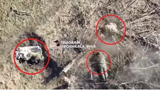 Ukraine drone drops grenade on russian position (18+)