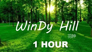 WINDY HILL  NHẠC THƯ GIÃN THỰC HÀNH LÒNG BIẾT ƠN THU HÚT THỊNH VƯỢNG