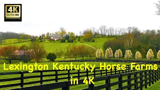 Lexington Kentucky Horse Farms in 4K