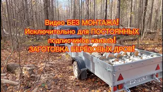 Заготовка березовых дров на Ниве Легенде! БЕЗ МОНТАЖА!!!