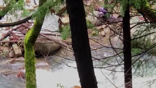 Little Deer Creek flowing after rain and snow.