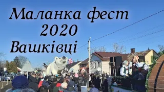 Маланка  переберія,  Вашківці 2020