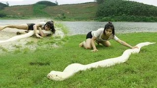 Survived on the lake.A bad day when attacked by a giant snake-While looking for food-Hanh Bushcraft