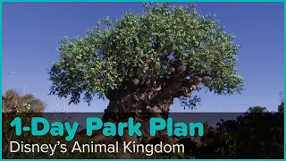 Undercover Tourist 1-Day Park Plan for Disney’s Animal Kingdom | Walt Disney World