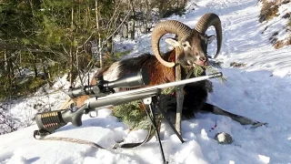 Muffelwidderjagd im Gebirge / Chasse au Mouflon / Alpine Mouflon Hunt