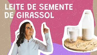 Receita de Leite de semente de girassol