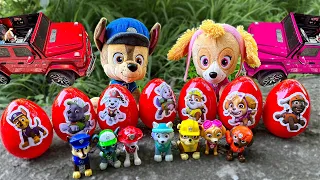 PAW Patrol Egg Hunt Adventure || PAW Patrol Toy Learning Video for Kids