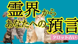 【高波動メッセージ✨】霊界からあなたへの預言リーディング✴️シンクロニシティを感じるスピリチュアルタロット占い