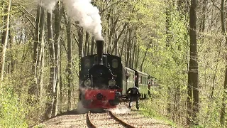 Lok Hoya bleibt in der Steigung liegen  01.05.2006