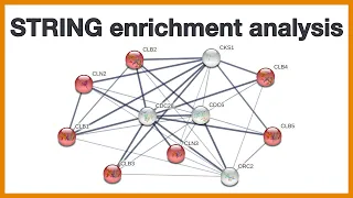 STRING enrichment analysis: Brief introduction to the gene set enrichment functionality of STRING