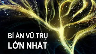 Tại sao vũ trụ trông như thế này? | Thiên Hà TV