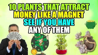 10 Plants That Attract Money Like a Magnet - See if you have one of them