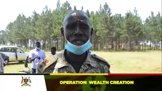 Operation Wealth Creation Brief Achievements