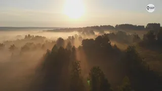 Наша Сибирь 4К:  Лесная Поляна