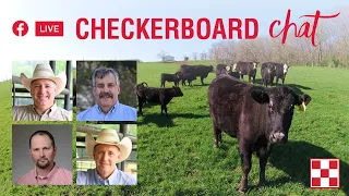 Checkerboard Chat: Your Summer Cattle Nutrition Questions, Answered!