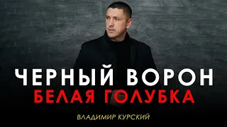 ВЛАДИМИР КУРСКИЙ - ЧЁРНЫЙ ВОРОН-БЕЛАЯ ГОЛУБКА. ПРЕЗЕНТАЦИЯ АЛЬБОМА "ВОЛЧИЦА" | МОСКВА.