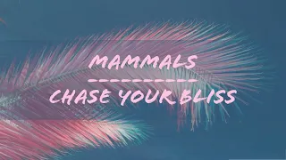 Mammals - Chase Your Bliss (Sub. Español){E}