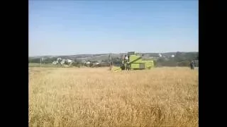 Żniwa owsa 2016 Claas Compact 30 | Молотимо овес комбайном Claas Compact 30 ㋡ NazarFarmer