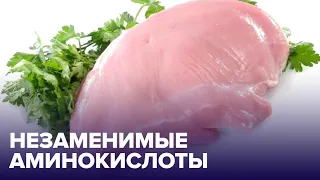 Незаменимые АМИНОКИСЛОТЫ и зачем они нужны?