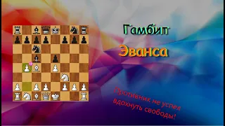 Дебют за 10 мин !Гамбит Эванса! Обучение. Черные не смогли учуять запах свободы!#шахматы