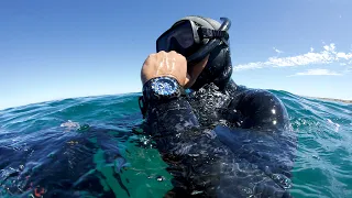 Promaster - Whale Shark Diver | CITIZEN