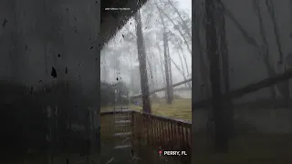 Trees snap like twigs as Hurricane Idalia hits Perry, Florida