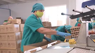 Человек труда: укладчик-упаковщик яиц Анна Севрук