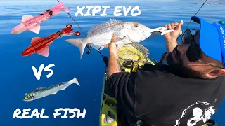 JLC New Xipi Evo vs Real Fish pesca a  Slow Pitch in verticale Cernie e Dentici diffidenti