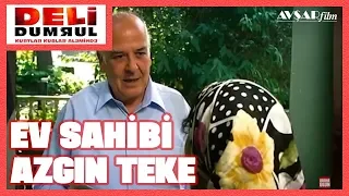 Ev Sahibi Azgın Teke / Deli Dumrul Kurtlar Kuşlar Aleminde