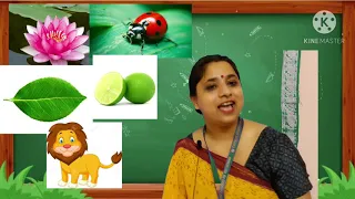 Class-LKG  Topic-Introduction  of small letter 'l'