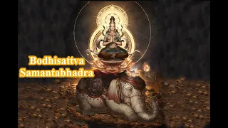 🌌 Bodhisattva Samantabhadra Mantra | Namo Puxian Pusa | Wisdom Mind Of Samantabhadra🌌