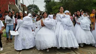 Las Madrinas de Los Niños Dios cantando villancicos, en Miahuatlán Veracruz