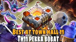 Best Th11 Attack Strategy | Th11 Pekka Bobat | Town Hall 11 Bat Slap War Strategy - Clash of Clans