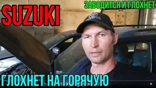 Сузуки  заводится и  глохнет на холостых..глохнет после перегазовки..