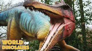 World of Dinosaurs Fly-Through At Paradise Wildlife Park